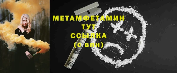 прущие грибы Богородск