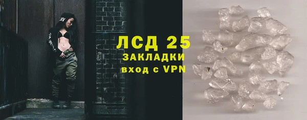 прущие грибы Богородск