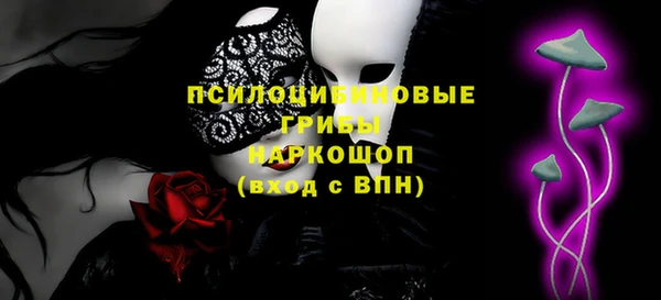 прущие грибы Богородск