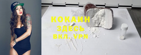 тгк Богородицк