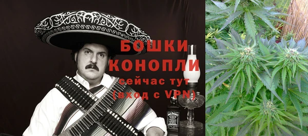 прущие грибы Богородск