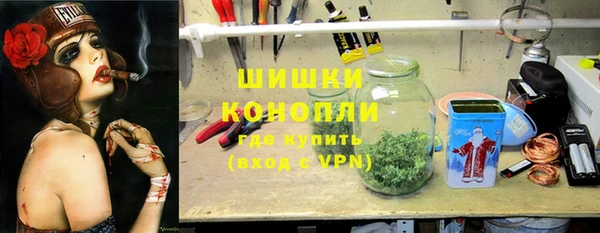 прущие грибы Богородск