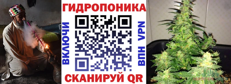 Конопля AK-47  Купить где  Валуйки 